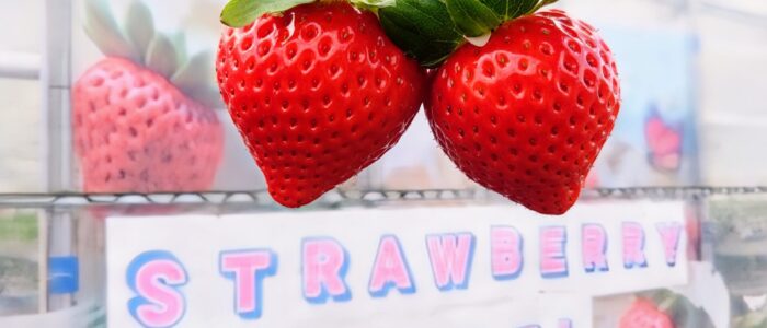 ストロベリーエンジェル