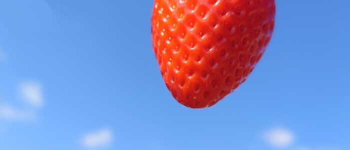 空中イチゴ